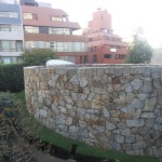 セルリアンタワー