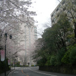 桜坂　品川　グランドプリンスホテル高輪