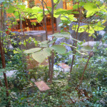 水道橋　庭のホテル　流　庭園　中庭