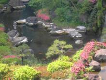 赤坂 庭園 ホテルニューオータニ ガーデンラウンジ