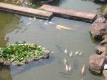 庭園 ホテルニューオータニ ガーデンラウンジ