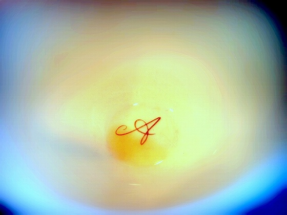 アグネスホテルアンドアパートメンツ東京