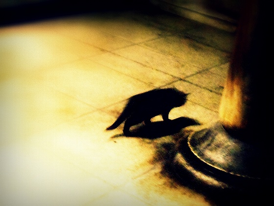 東京ホテル朝食日記