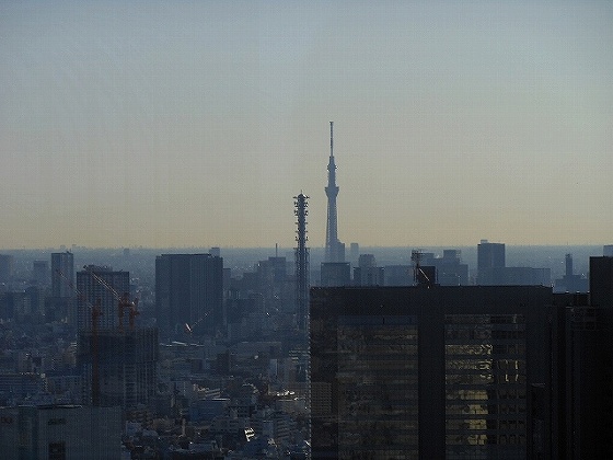 新宿方面から東京スカイツリーを眺める