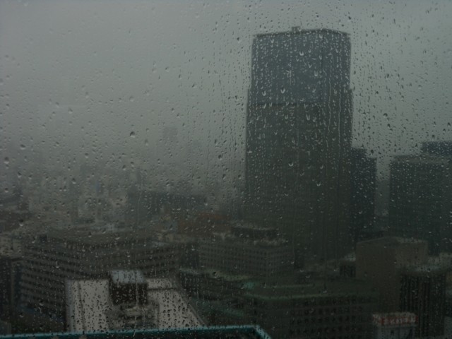 高層階からの眺め　雨　ロビーラウンジ